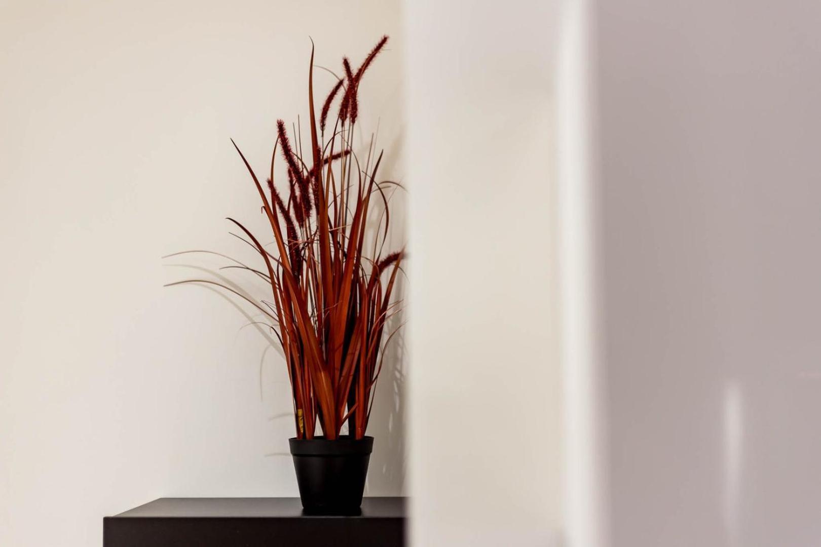 Apartment Quiet Center Ail